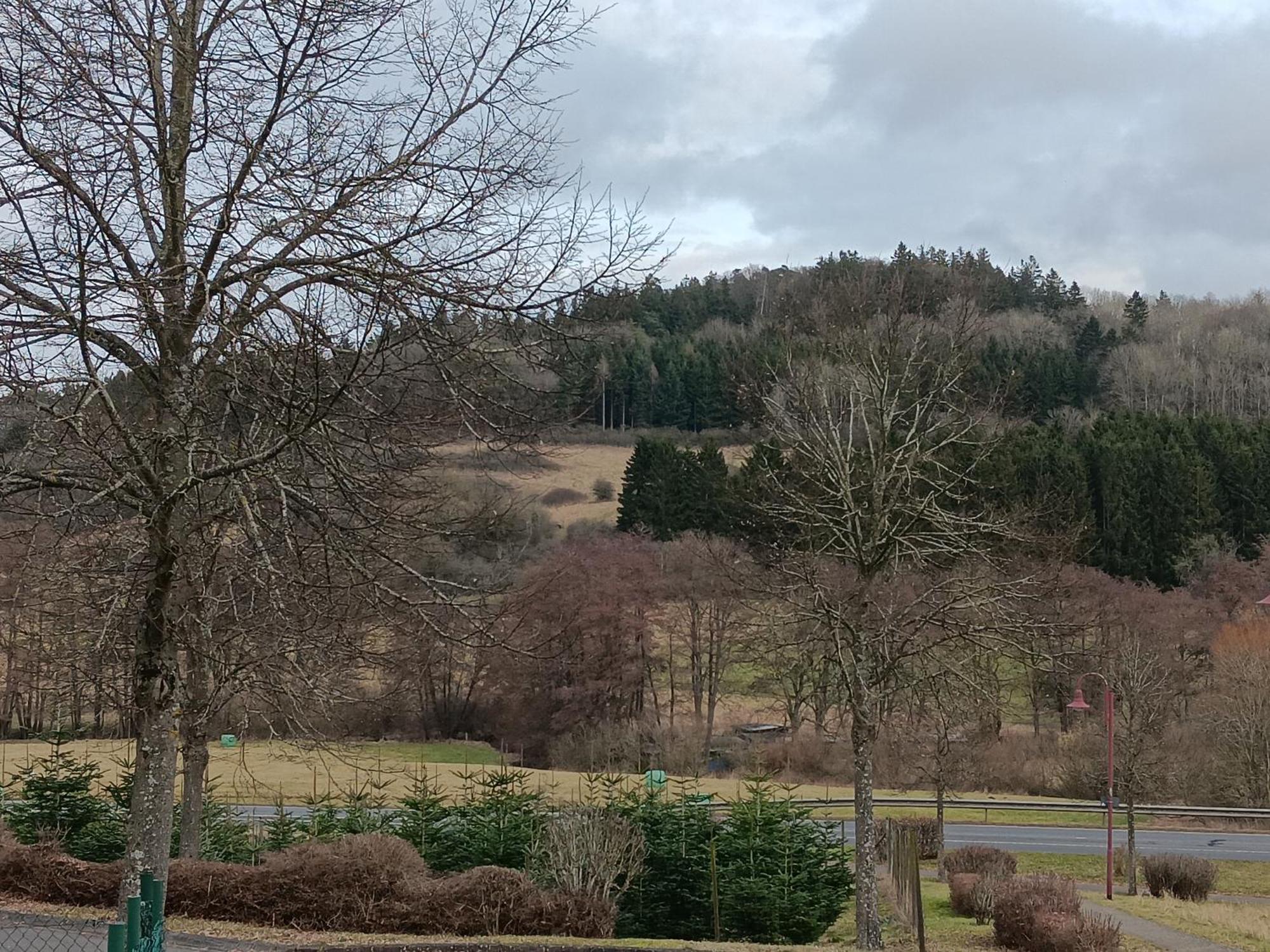 Ferienwohnung Schwarzenbergblick Kelberg Extérieur photo